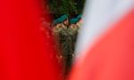 Giganci zbrojeniowi wchodzą do Polski. Reuters o inwestycjach