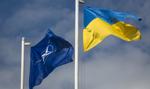Ukraina w NATO? Węgry rzucają kłody pod nogi
