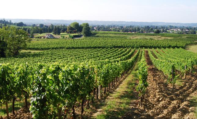 Okolice Bordeaux, Francja