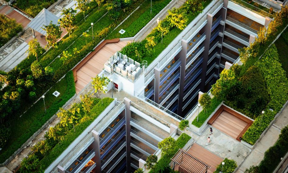 Zielone miasta przyszłości. Jak zmienia się idea smart cities w Polsce i na świecie