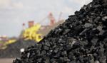 Tauron chce pozyskać ponad 12 mln ton węgla ze złoża Brzezinka w 10 lat