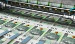 NBP opublikował Raport o stabilności systemu finansowego