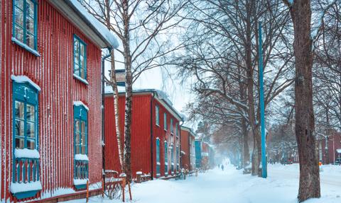 Minus 41,5 stopnia w Finlandii. Mrozy generują najwyższy w historii pobór energii