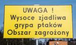 Na ok. 12 zł wyceniono jedną kurę padłą na ptasią grypę
