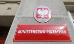 Resort Przemysłu: Budowa elektrowni jądrowej bez opóźnień w głównym harmonogramie