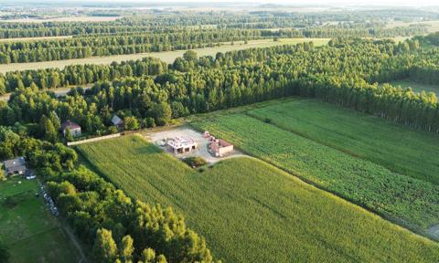 Lasy Państwowe kupują grunty. W pół roku wydały blisko 80 mln zł
