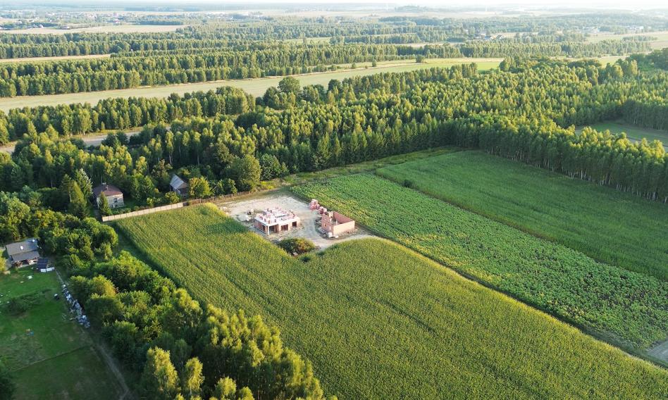 Lasy Państwowe kupiły 2 tys. ha gruntów za 80 mln zł w pierwszej połowie roku