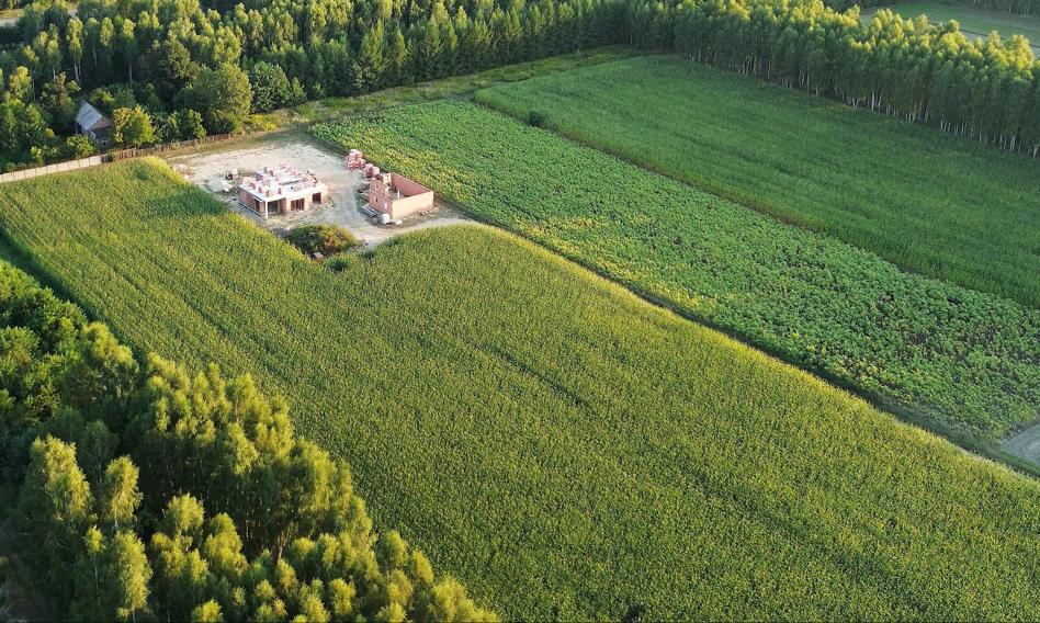 Kolejny dron spadł w Polsce. Szczątki obiektu latającego znaleziono przy granicy z Białorusią