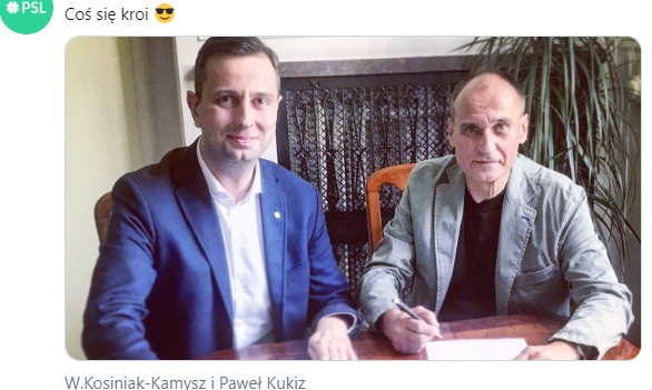 PSL i Kukiz'15 wystartują wspólnie w wyborach do Sejmu