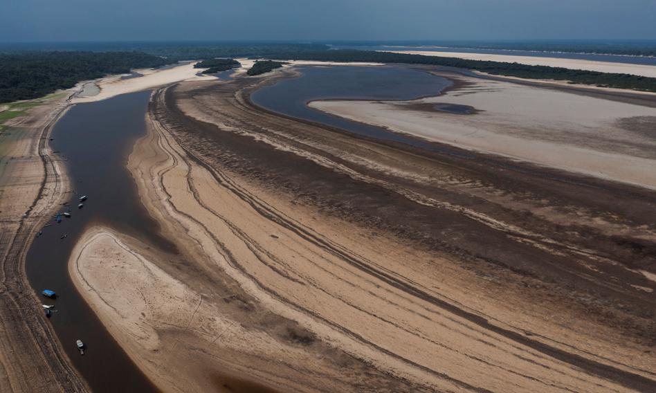 Historyczna susza i ekstremalne temperatury w Amazonii