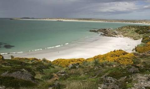 Proces o ropę z Wysp Falklandzkich