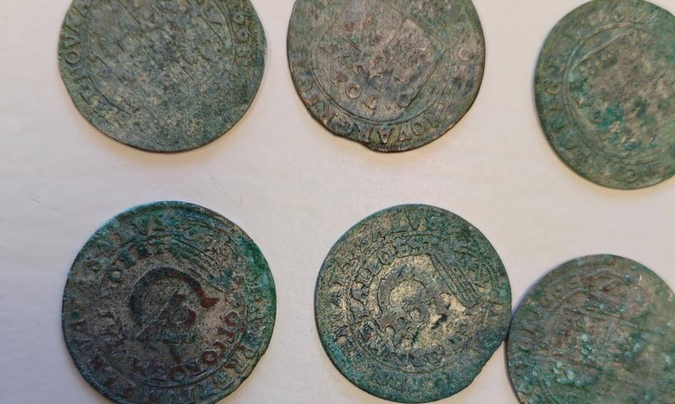 Rolnik znalazł skarb na polu. Srebrne monety z XVII wieku przeleżały w ziemi setki lat