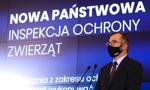 PiS nie wycofuje się z