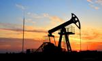 OPEC+ uzgodniła brak zmian w planie stopniowego wzrostu wydobycia ropy