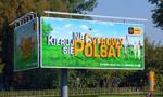 (Dwu)Cyfrowy Polsat - rekomendacje i kurs idą w górę. Amerykanie popłyną na shortach?