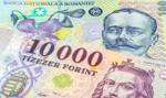 Polityka miesza na rynku walut. Forint i lej na dwóch biegunach
