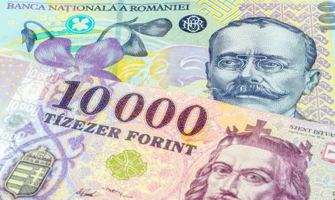 Polityka miesza na rynku walut. Forint i lej na dwóch biegunach