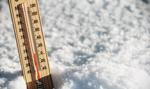 Ranking lokat kwartalnych. Na minusie nie tylko temperatura