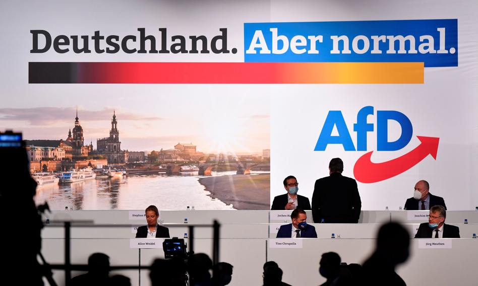 AfD z najlepszym wynikiem sondażowym od roku