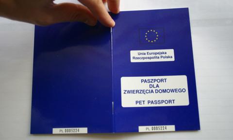 W przychodniach weterynaryjnych w dużych miastach brakuje paszportów dla zwierząt