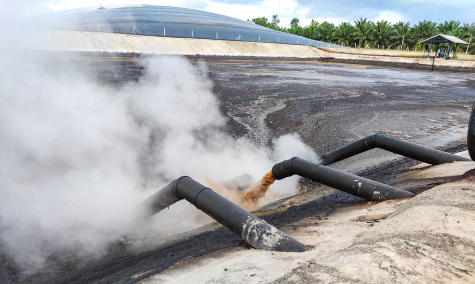 PGNiG chce produkować gaz z bioodpadów