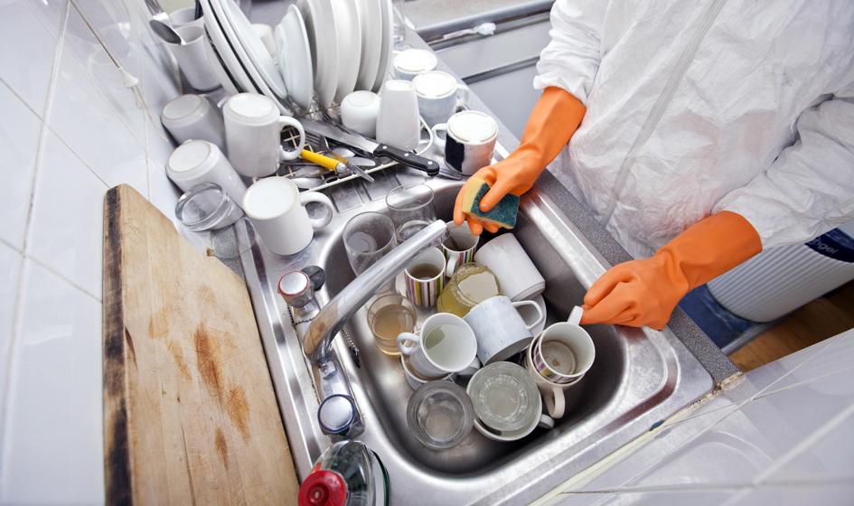 Emigracyjny rentgen magistrów