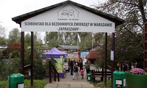 Skargi na schronisko na Paluchu. NIK wchodzi do warszawskiego ratusza