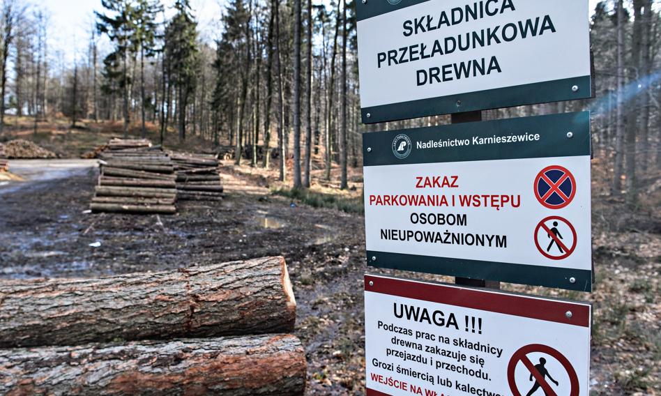 Kolejny dyrektor odwołany przez rząd Donalda Tuska
