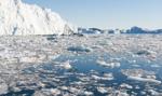 Emisje gazów cieplarnianych przyspieszają nieodwracalne załamanie Antarktydy