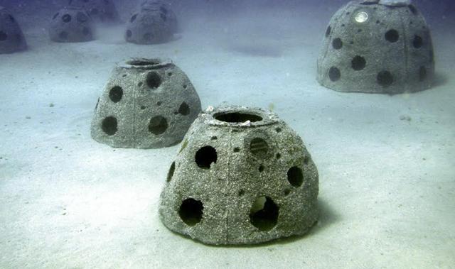 Biznes: zarabiają na dnie oceanu