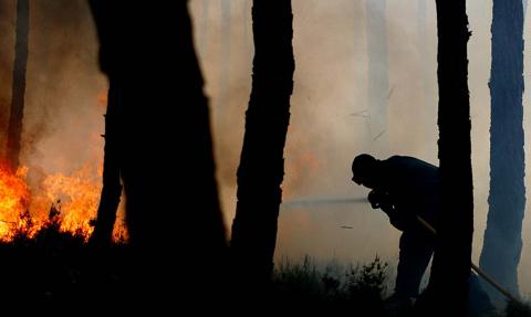 Portugalia również walczy z pożarami. Upał utrudnia walkę z żywiołem