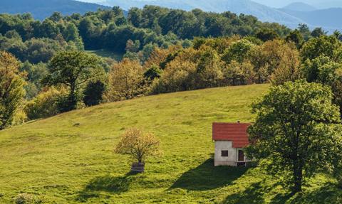 Mieszkanie za rentę. Tyle średnio dostają seniorzy