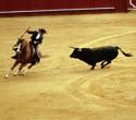 Hiszpańska corrida nauczką dla Polski