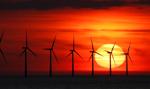 Rekordowy wzrost mocy instalacji wiatrowych na świecie w 2023 roku