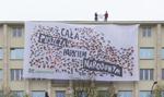 Akcja Greenpeace: cała Puszcza Białowieska parkiem narodowym