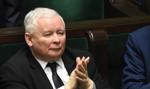 Sejm zaostrzył kary za znęcanie nad zwierzętami