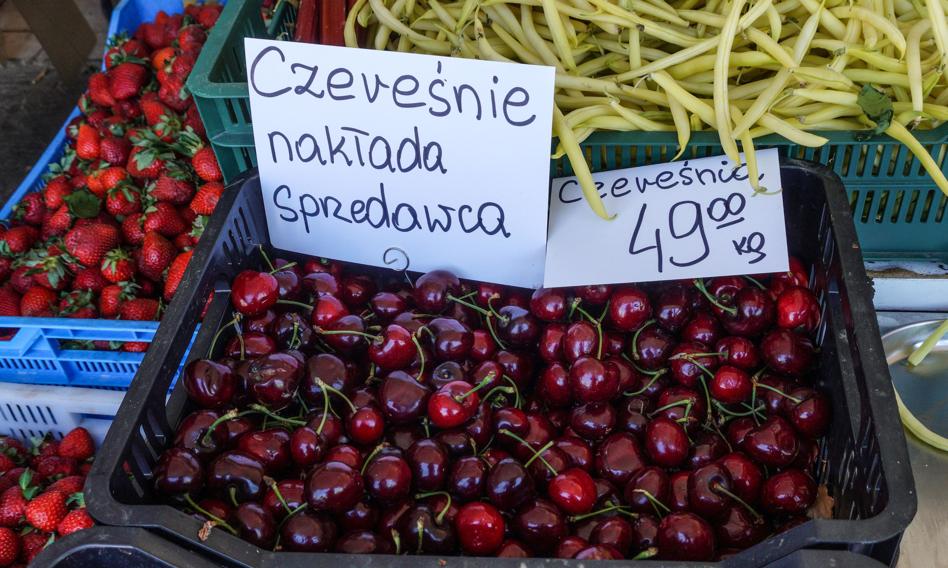 Drogie czereśnie. To jedne z najbardziej dotkniętych przez przymrozki i gradobicia uprawy