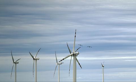 Spółka zależna ZE PAK kupiła projekt farmy wiatrowej o łącznej mocy 7,8 MW