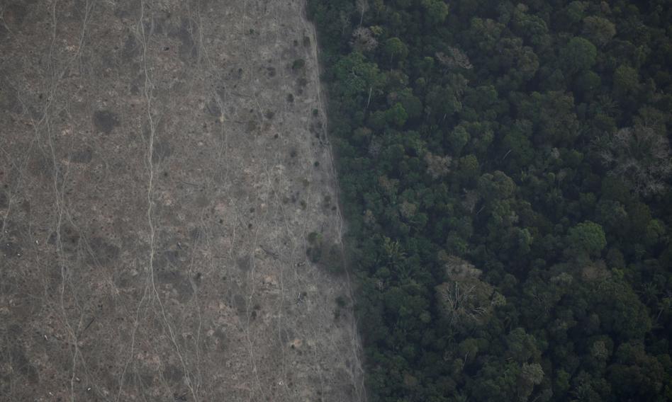 Amazonia znika w oczach. Obszar wycinek i wypaleń zwiększył się o niemal 500 proc.