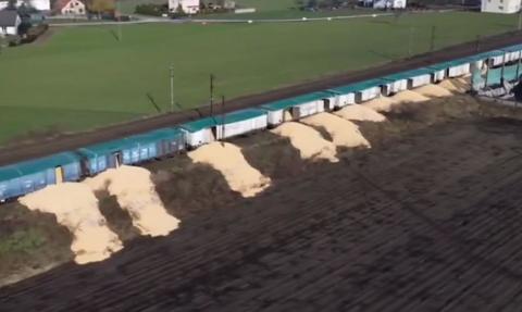 Śledztwo w sprawie "zboża technicznego" z Ukrainy przedłużone. Są pierwsze wyroki