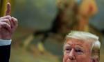 Trump uznał, że decyzja WTO w sprawie Airbusa to