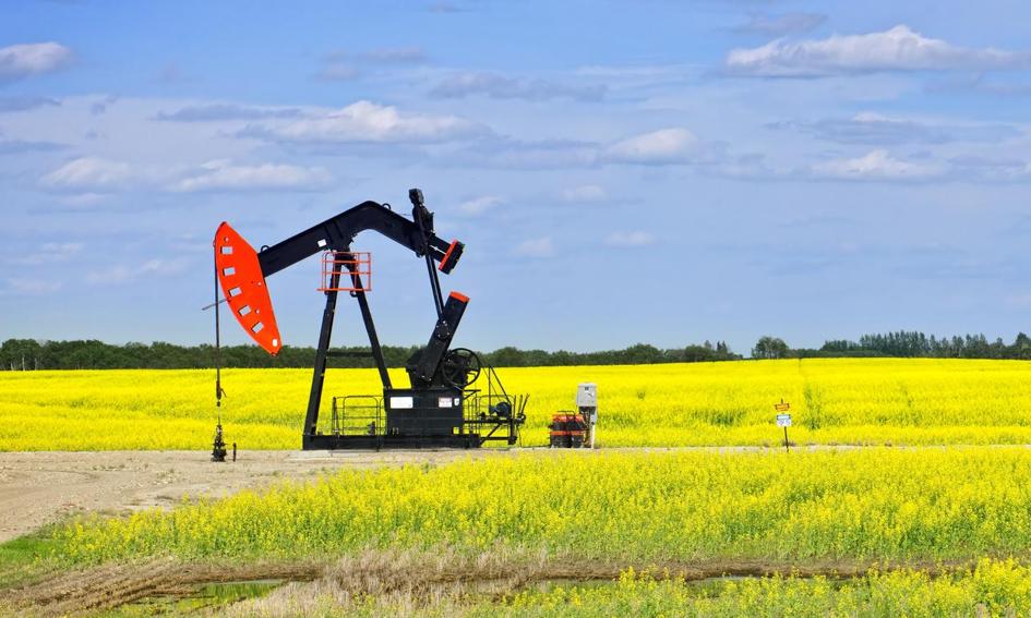 Ropa tanieje, bo OPEC nie wie, co zrobić z Irakiem i Iranem