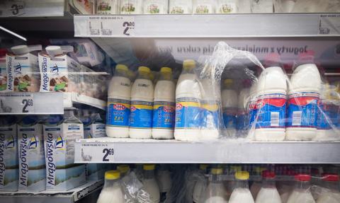 To już nie dojna krowa? Polska branża mleczarska na zakręcie