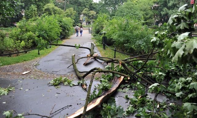 Milion złotych pomocy dla ofiar nawałnic