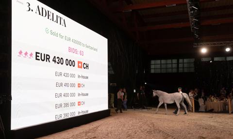 Owocna aukcja Pride of Poland. Sprzedano konie za 1,3 mln euro