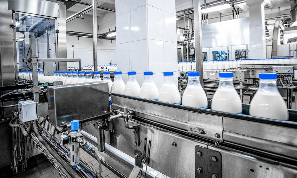 Polskie mleczarstwo na zielonej ścieżce. Wdrożenie proekologicznych zmian przełoży się na wzrost cen żywności