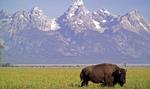 Tym będą żyły rynki: Jackson Hole w centrum uwagi