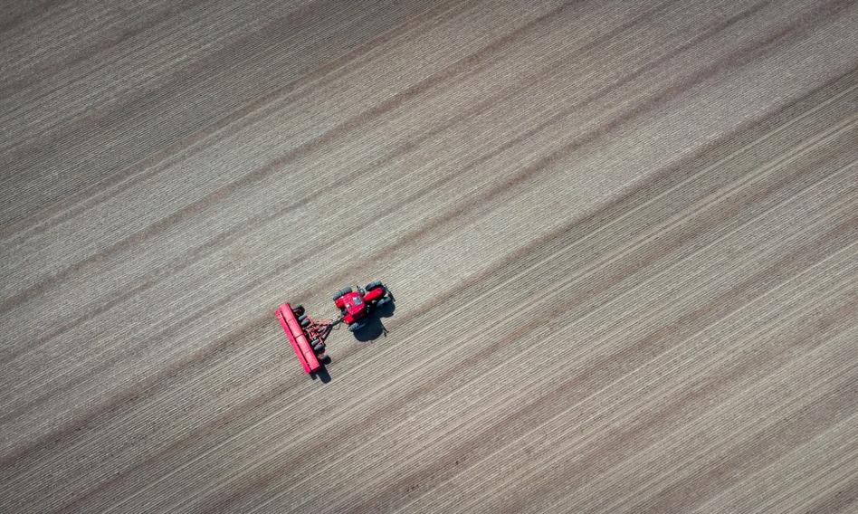 Ceny gruntów rolnych wyraźnie w górę [Wykresy]