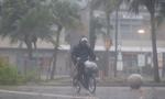 Ponad 300 mm deszczu w 24 godziny. Japonia walczy z powodziami