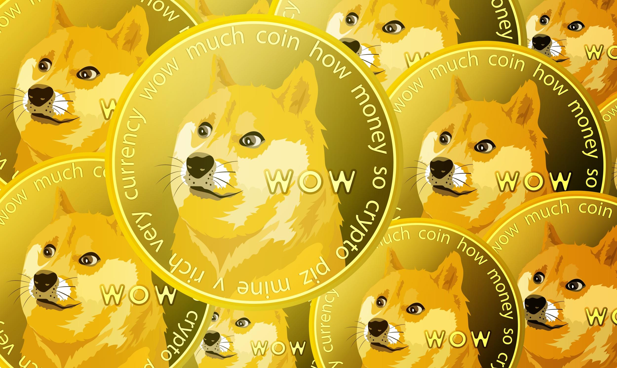 Pierwszy ETF na coś zupełnie bezużytecznego? Dogecoin romansuje z Wall  Street - Bankier.pl